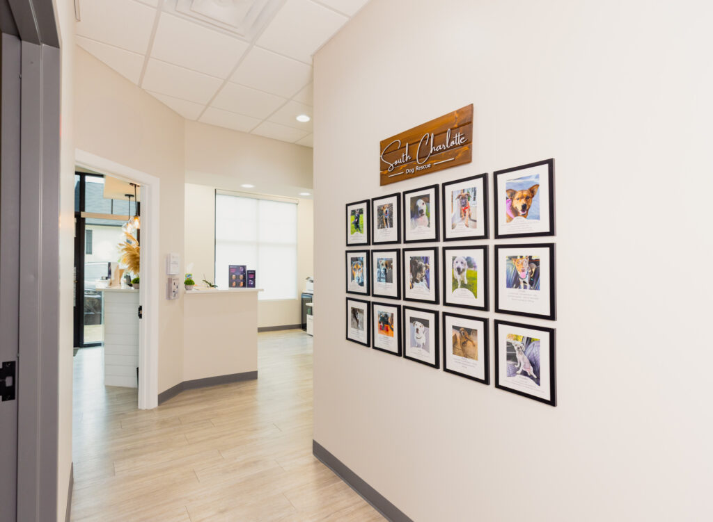 Hall of a weight loss clinic in Waxhaw that leads to the lobby. On the wall, there are neatly framed photos and a wooden sign above them. The facility looks clean and inviting.